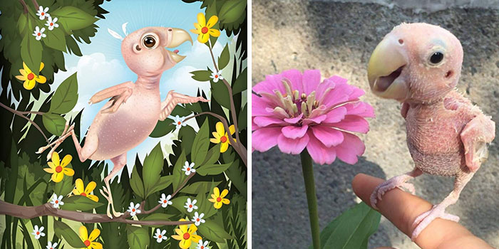 28 razy, kiedy zwierzaki zostały uwiecznione dokładnie tak, jak widzą je ich właściciele