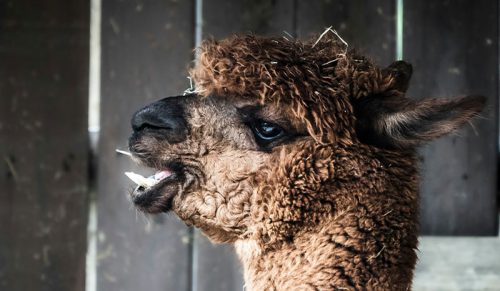 46 historii błyskawicznej karmy — sprawiedliwość zdarza się natychmiast