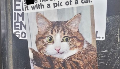 45 łagodnych i uprzejmych aktów wandalizmu udokumentowanych na ulicach