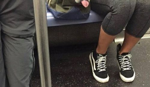 41 razy, gdy ludzie przemycili psy w torbach — i to jest urocze