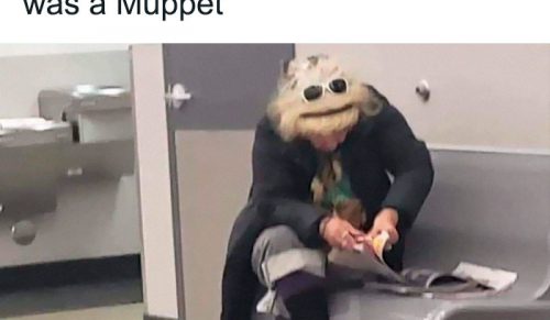 „Przypadkowa komedia”: 23 najlepsze niezamierzenie zabawne zdjęcia