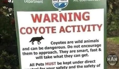 40 razy, gdy ludzie natrafili na tak zabawne i absurdalne znaki, że musieli się nimi podzielić