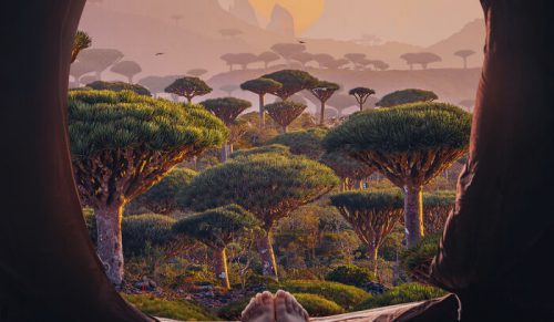 Byłem jednym z pierwszych podróżników na Sokotrze – wyspa przerosła moje oczekiwania