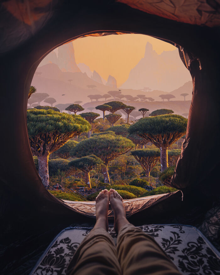 Byłem jednym z pierwszych podróżników na Sokotrze — wyspa przerosła moje oczekiwania (40 zdjęć)