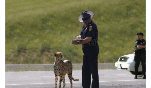 30 zabawnych i dziwnie niejasnych zdjęć z konta „Images That Require More Context”