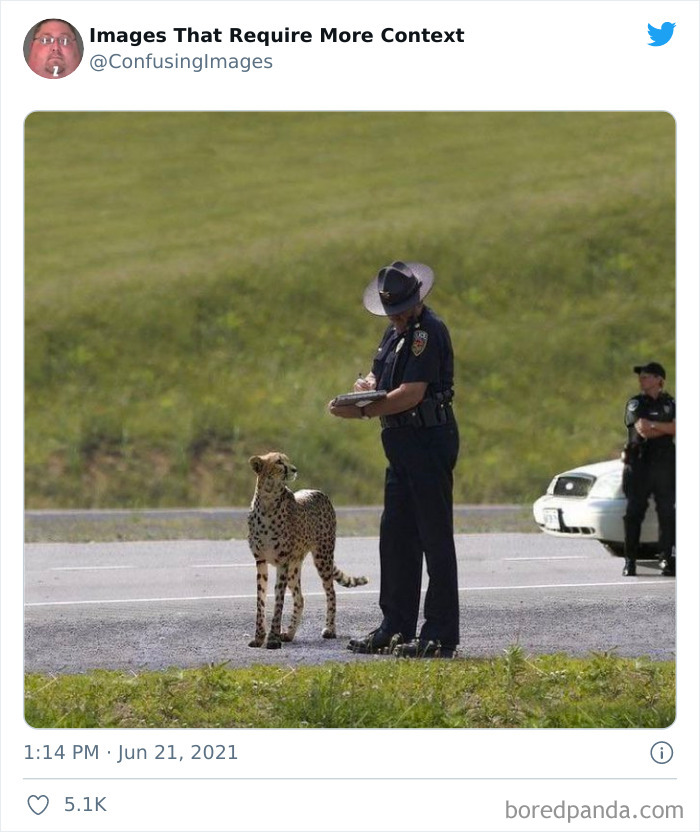 30 zabawnych i dziwnie niejasnych zdjęć z konta „Images That Require More Context”