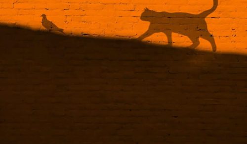 To konto na Instagramie udowadnia, że fotografia to coś więcej niż obraz – oto 50 dowodów