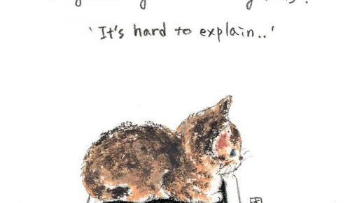 Koreańska artystka zaczęła rysować koty 3 lata temu – dziś ma najsłodszą kolekcję