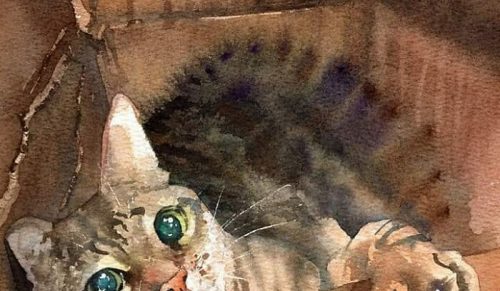 49 Kocich Arcydzieł, które Rozpaliły Nasze Serca