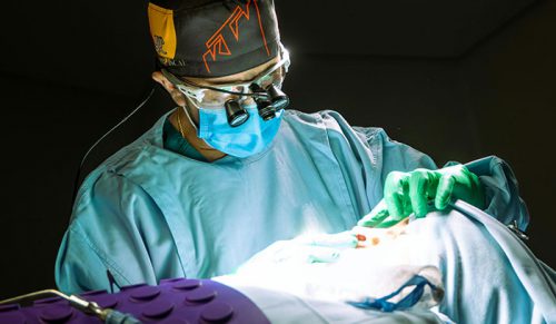 „Wyglądało lepiej grube i pulchne”: 30 zabiegów kosmetycznych, których ludzie żałują