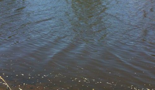 Sarkastyczna społeczność dzieli się „brzydkimi zdjęciami Ziemi” z zabawnymi podpisami — oto 34 najlepsze posty