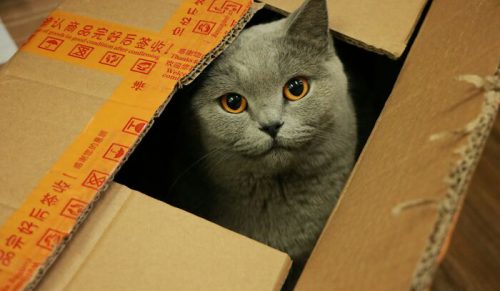 25 absolutnie niekonwencjonalnych porad na przeprowadzkę, które… mogą zadziałać