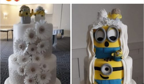 27 razy, gdy wesela były takie złe, że zasługiwały na wyśmianie