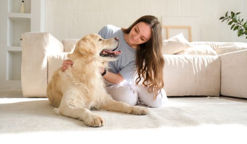 69 najbystrzejszych rzeczy, jakie zrobiły zwierzęta