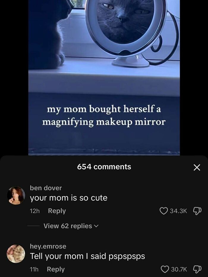 Koty sprawiają, iż świat jest lepszy – te 78 zdjęć to udowadnia