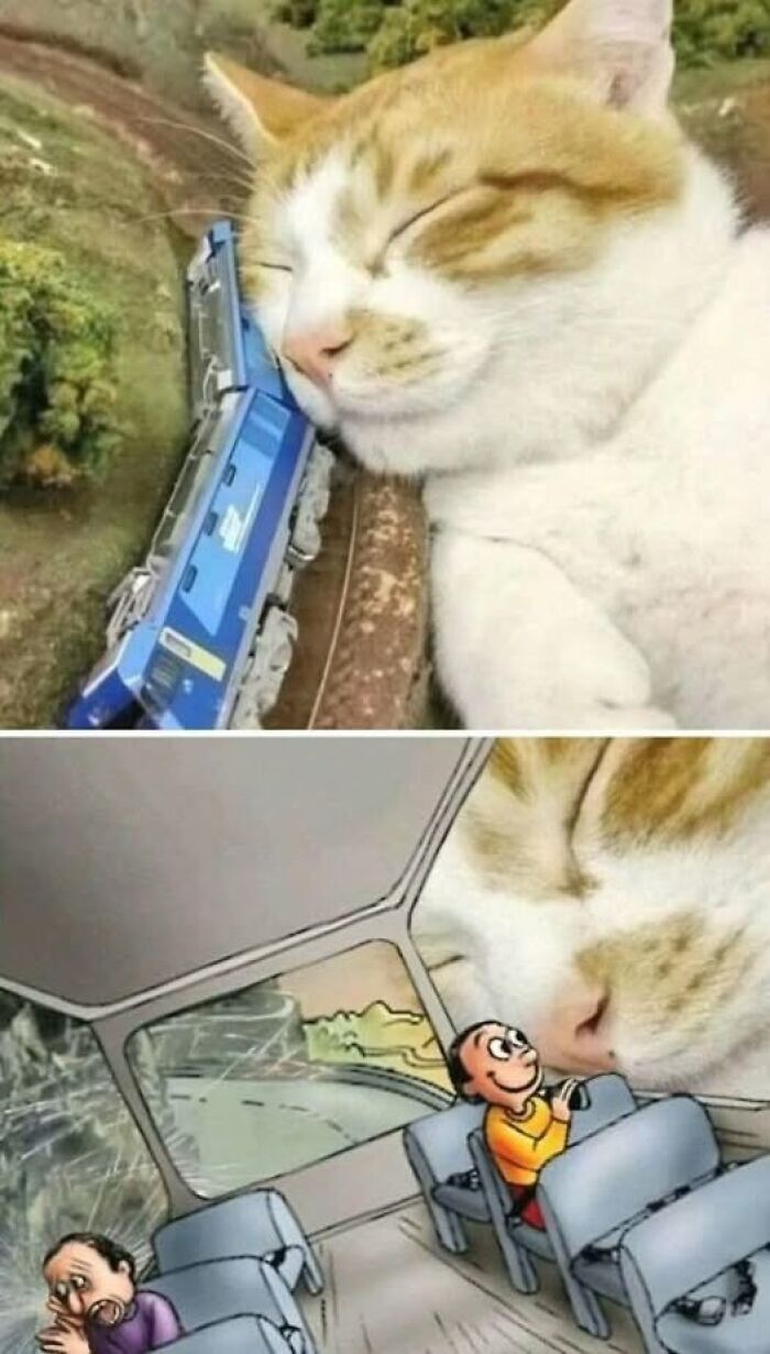 50 zdjęć dla tych, którym dziś potrzebny jest mocniejszy śmiech