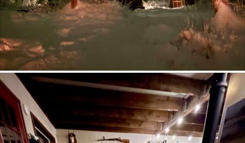 Ucieczka poza sieć: 79 przepięknych domków, do których ludzie jadą odpocząć od świata