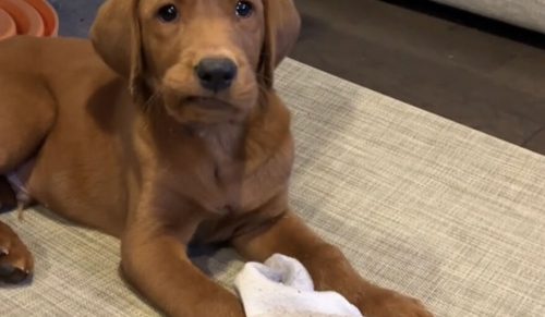 48 pięknych zdjęć pokazujących ludzi świętujących to, co ich wyróżnia