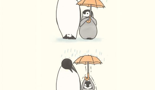 Artystka rysuje komiksy o małym pingwinku, który nie radzi sobie z codziennymi zadaniami ale za to jest przesłodki