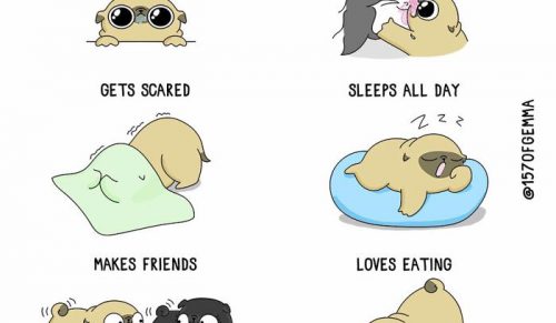 Urocze komiksy, które dokładnie pokazują, jak to jest mieszkać z psem