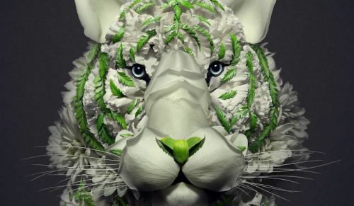 30 delikatnych portretów zwierząt stworzonych z materiałów znalezionych w przyrodzie przez Raku Inoue
