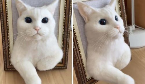 49 razy, gdy ludzie pochwalili się swoimi niezwykłymi rękodziełami i przyprawili wszystkich o zazdrość