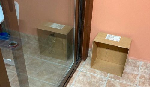 39 kotów, które uznały, że nieposłuszeństwo właścicielom to za mało, więc złamały też prawa fizyki