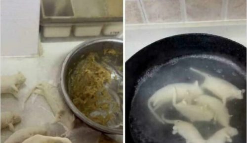 49 Potraw Tak Głupich, Że Trudno Uwierzyć, Że Ktoś Na To Wpadł