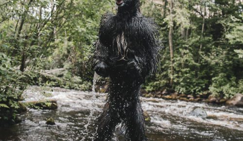 44 niepokojące zdjęcia, które nie są dla osób o słabych nerwach
