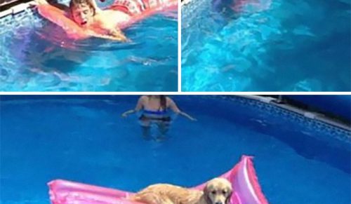 41 Najzabawniejszych Zdjęć z Facebookowego Konta ‚Kids In Predicaments’