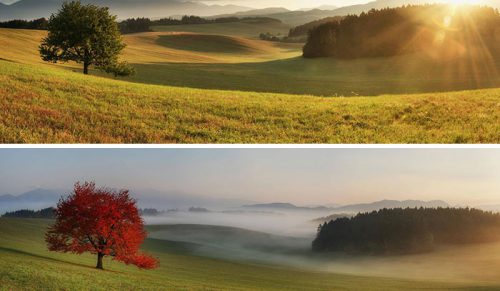 36 najbardziej interesujących zestawień fotograficznych