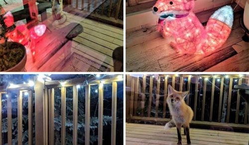 45 razy, gdy dekoracje świąteczne były tak pomysłowe, że aż zaimponowały Świętemu Mikołajowi