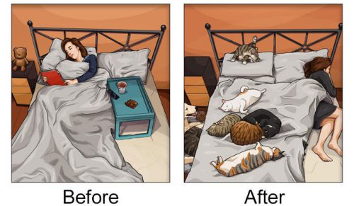 22 zmiany w życiu, które następują po przygarnięciu zwierzaka