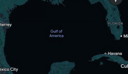 40 zdjęć, które mogą zepsuć ci cały dzień