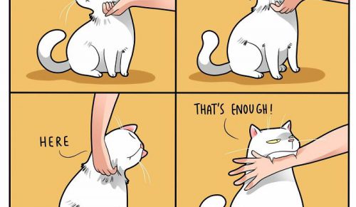 Artystka rysuje zabawne sytuacje z życia z kotem