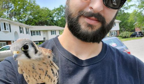 Czułe spotkania z dziką przyrodą