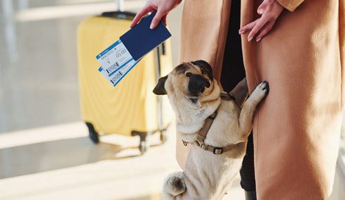 32 razy, gdy pożegnania na lotnisku łamały serca