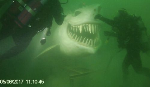 28 zdjęć, które przyprawią cię o dreszcze i sprawią, że wolisz trzymać się brzegu