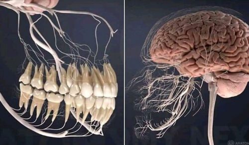 „Ciekawe, ale przerażające”: 30 zdjęć, które zafascynują i zaniepokoją