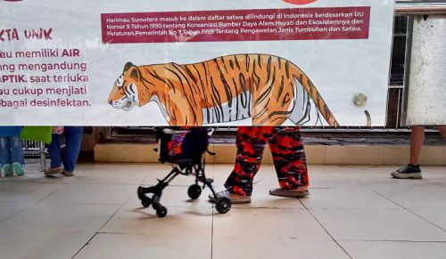 40 ulicznych zdjęć z przypadkami tak dziwnymi, że trzeba się im przyjrzeć dwa razy