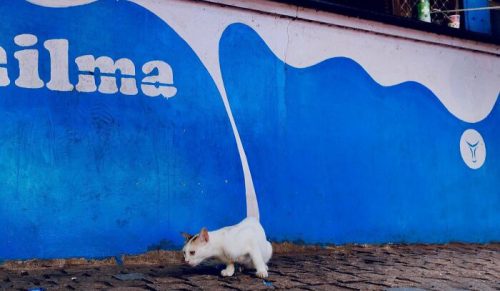 35 zdjęć ulicznych, które udowadniają, że wszystko zależy od chwili