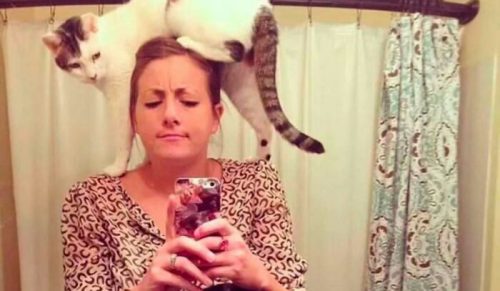 78 zabawnych memów, które przypomną ci, jakie są koty wspaniałe