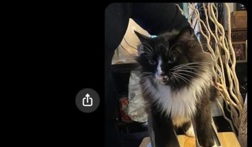 Amazing Humor Daily: 58 przypadkowych zdjęć, które śmieszą bardziej, niż powinny