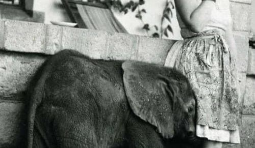 102 zdjęć, które powinien zobaczyć każdy miłośnik historii