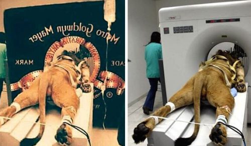 44 viralowe zdjęcia, nad którymi nikt się nie zastanawiał a powinniśmy