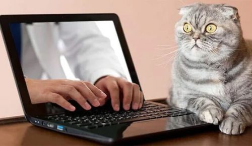 19 zupełnie niepraktycznych, za to zabawnych zdjęć stockowych