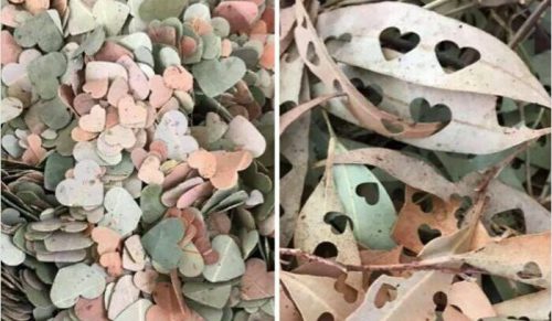 47 zdjęć z genialnymi poradami, które naprawdę ułatwiają życie