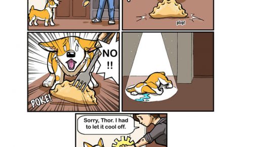 Przygody z dwoma psiakami z adopcji: 22 komiksy, które stworzyłam