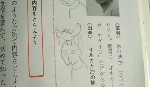 60 przykładów genialnego bazgrania w podręcznikach, któremu prawie można wybaczyć