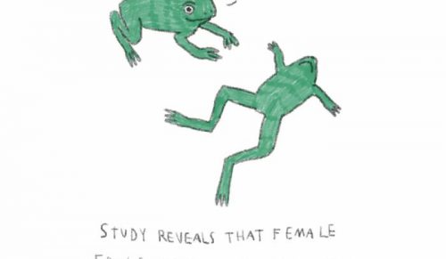 29 uroczo zabawnych ilustracji zwierząt autorstwa tatuażystki